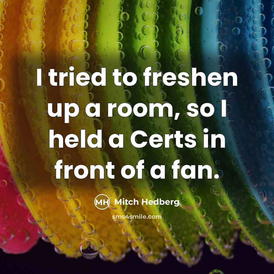 “I tried to freshen up a room, so I held…” quote by Mitch Hedberg