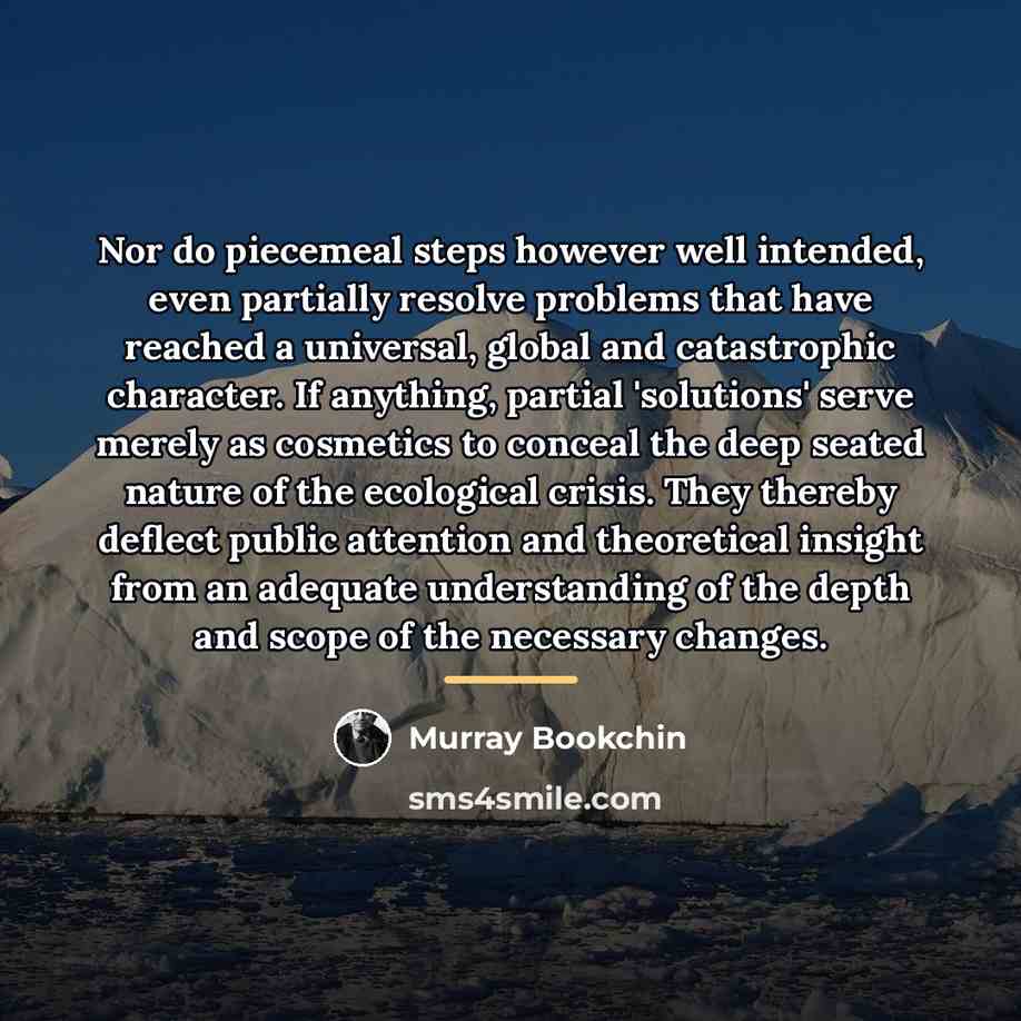 “Nor do piecemeal steps however well intended, even partially resolve…” quote by Murray Bookchin