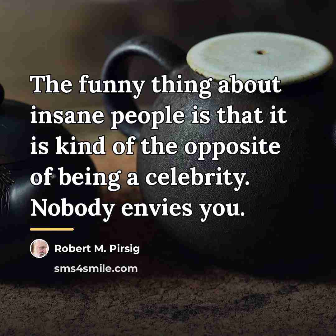 “The funny thing about insane people is that it is…” quote by Robert M. Pirsig
