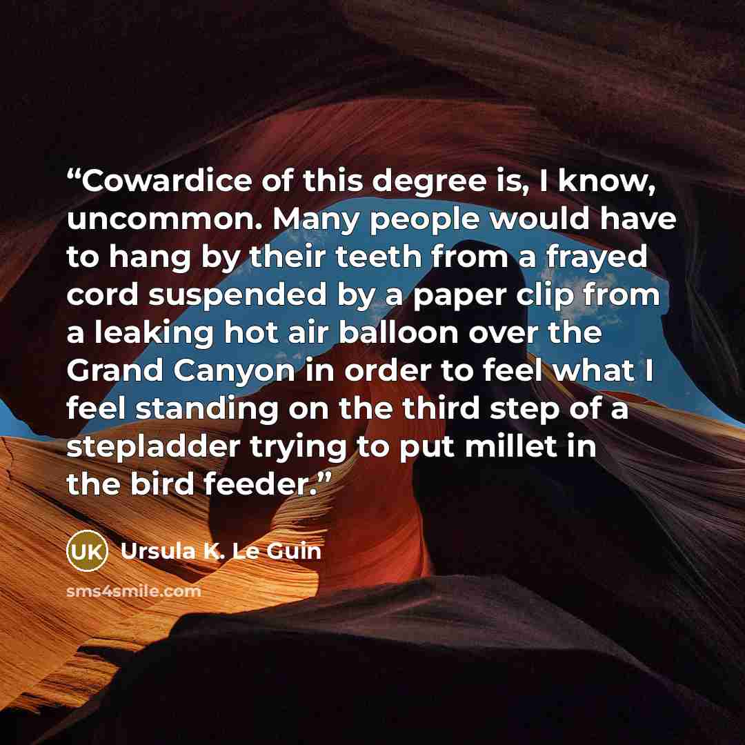 “Cowardice of this degree is, I know, uncommon. Many people would have to hang by their teeth from a frayed cord suspended by a paper clip from a leaking hot air balloon over the Grand Canyon in order to feel what I feel standing on the third step of a stepladder trying to put millet in the bird…” quote by Ursula K. Le Guin