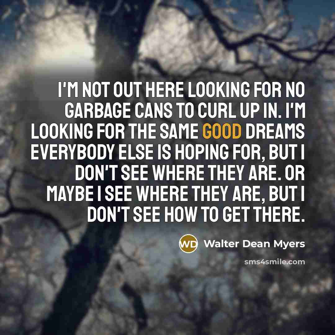 “I'm not out here looking for no garbage cans to…” quote by Walter Dean Myers