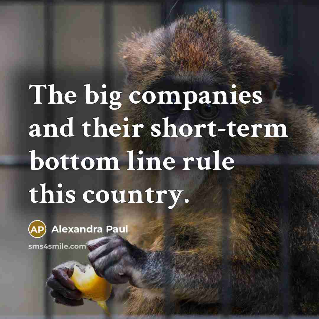 “The big companies and their short-term bottom line rule this…” quote by Alexandra Paul