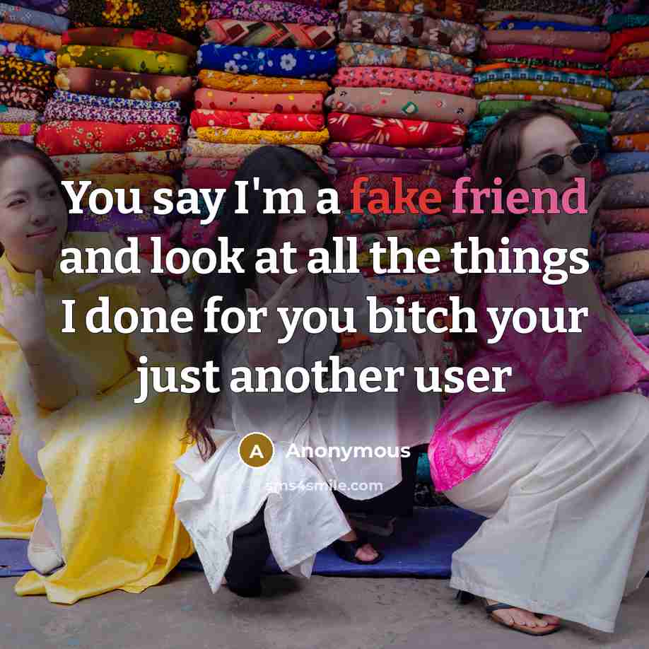 “You say I'm a fake friend and look at all the things I done for you bitch your just another user” quote by Anonymous