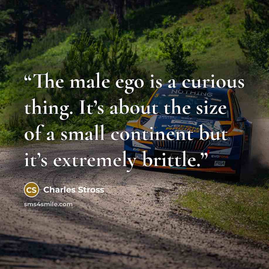 “The male ego is a curious thing. It’s about the size of a small continent but it’s extremely brittle.” quote by Charles Stross