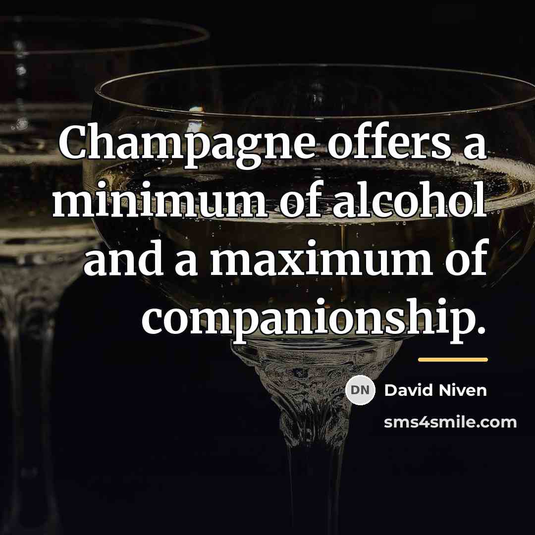 “Champagne offers a minimum of alcohol and a maximum of…” quote by David Niven