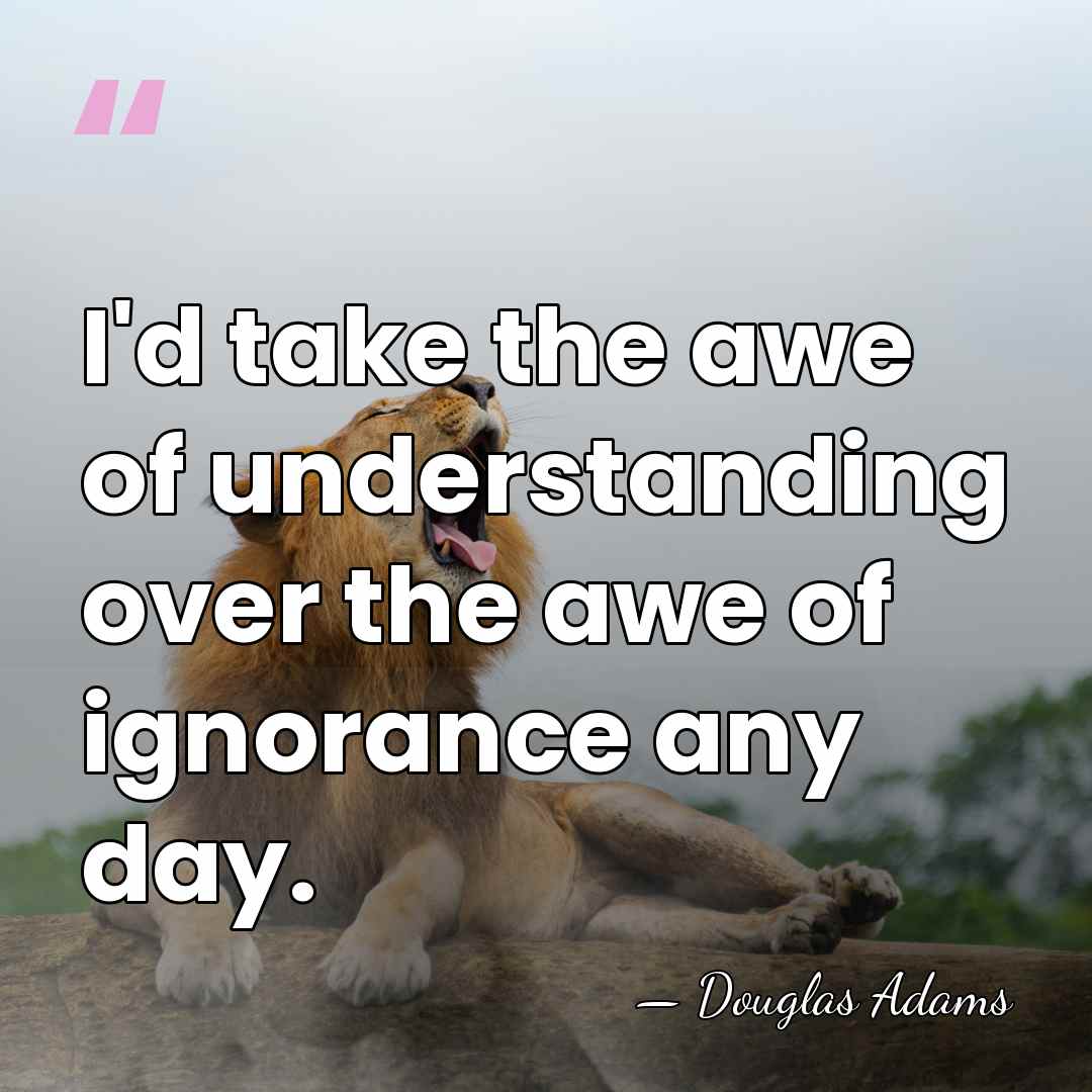 I'd take the awe of understanding over the awe of ignorance any&hellip; - Douglas Adams