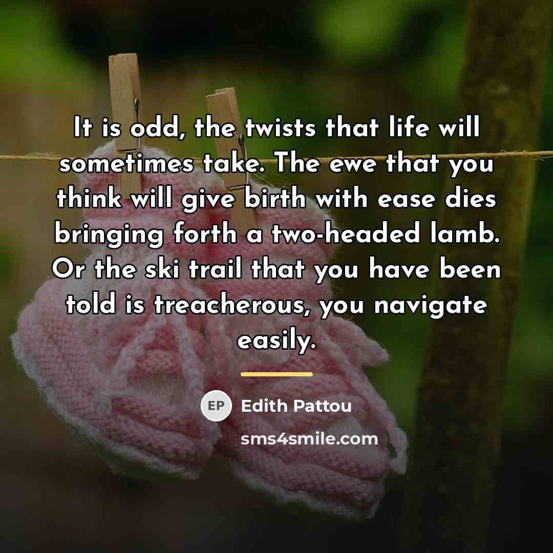 “It is odd, the twists that life will sometimes take.…” quote by Edith Pattou