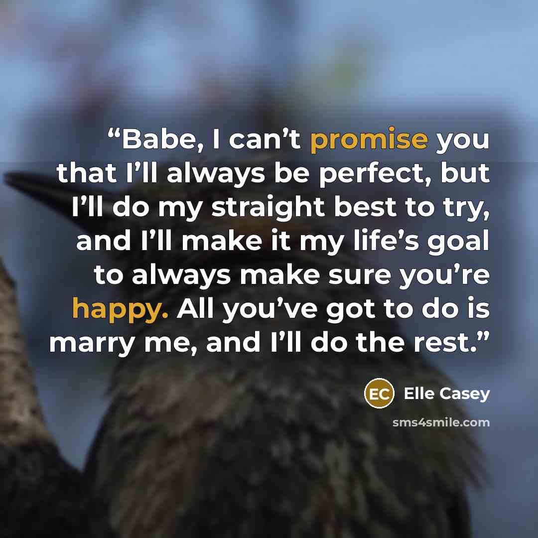 “Babe, I can’t promise you that I’ll always be perfect, but I’ll do my straight best to try, and I’ll make it my life’s goal to always make sure you’re happy. All you’ve got to do is marry me, and I’ll do the rest.” quote by Elle Casey