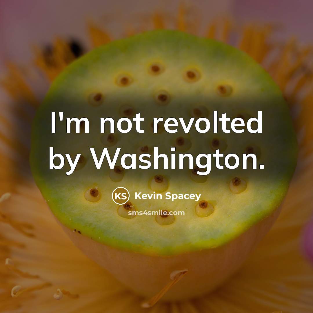 “I'm not revolted by Washington.…” quote by Kevin Spacey