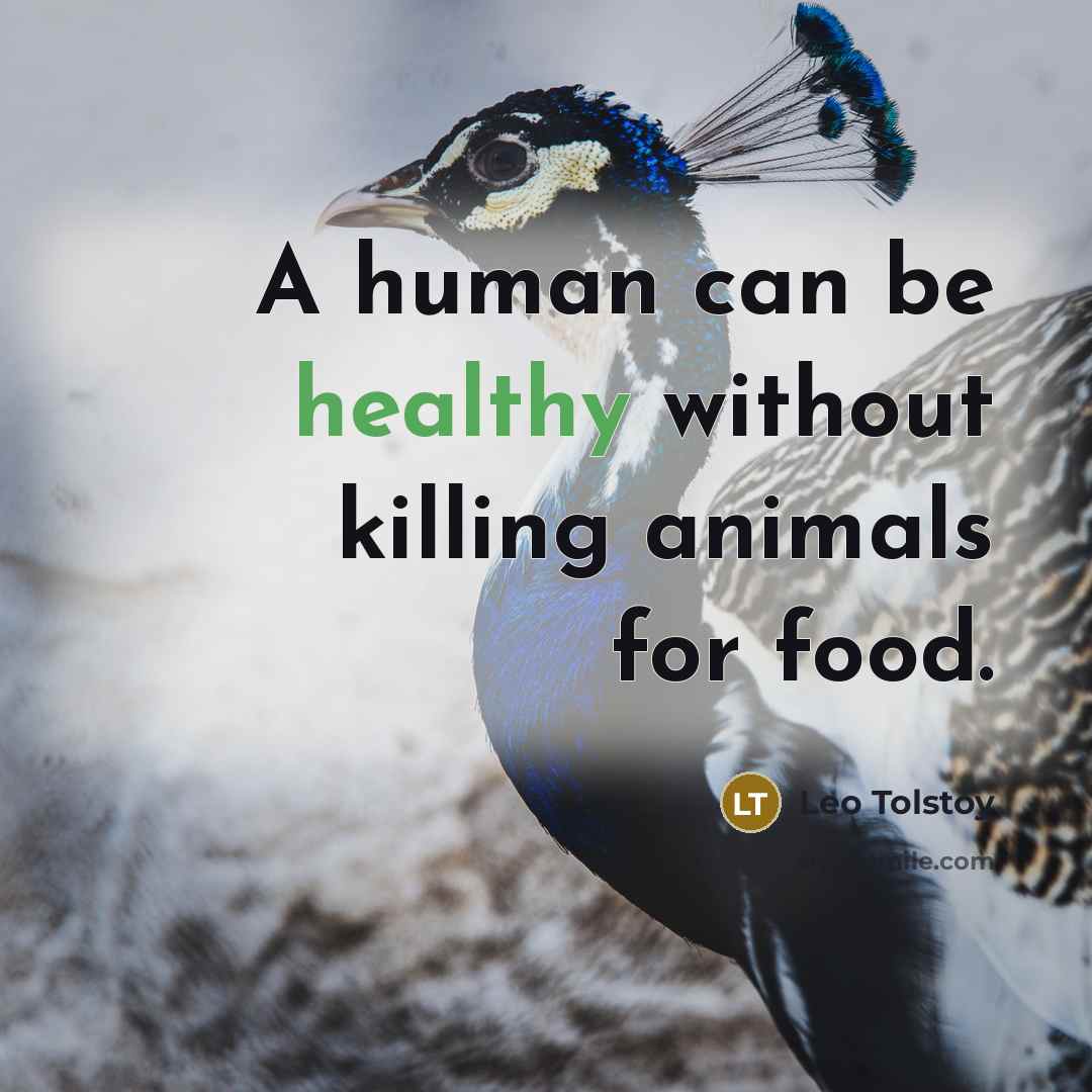 “A human can be healthy without killing animals for food.…” quote by Leo Tolstoy