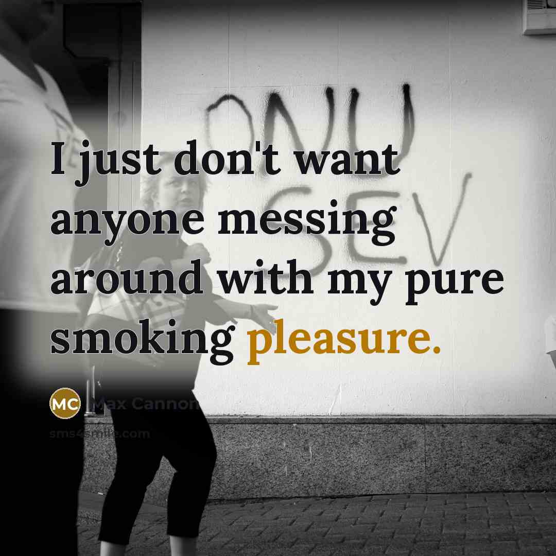 “I just don't want anyone messing around with my pure…” quote by Max Cannon