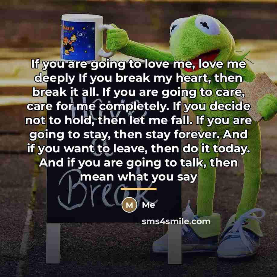 “If you are going to love me, love me deeply…” quote by Me