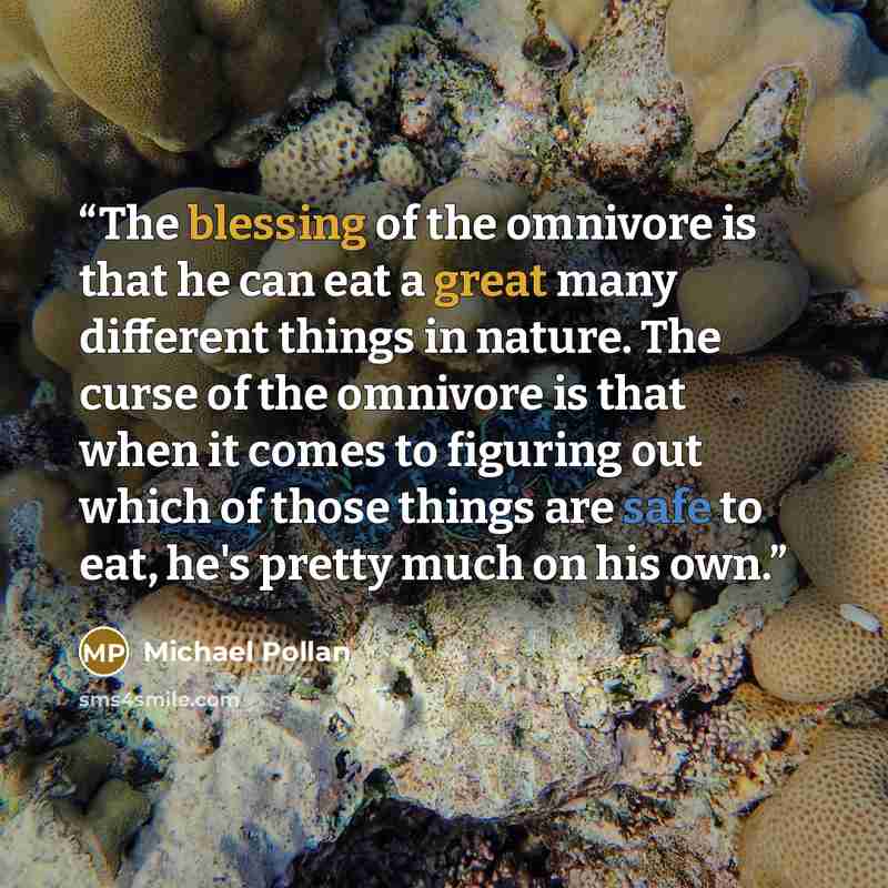 “The blessing of the omnivore is that he can eat a great many different things in nature. The curse of the omnivore is that when it comes to figuring out which of those things are safe to eat, he's pretty much on his own.” quote by Michael Pollan