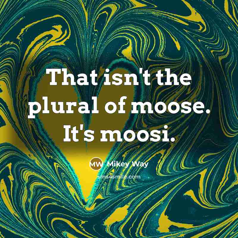 “That isn't the plural of moose. It's moosi.…” quote by Mikey Way
