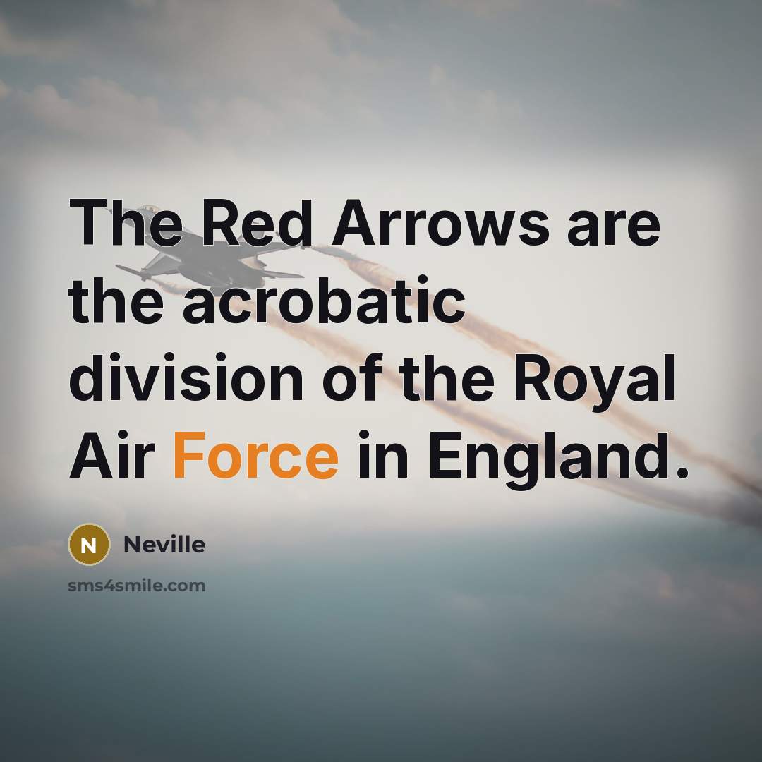 “The Red Arrows are the acrobatic division of the Royal…” quote by Neville