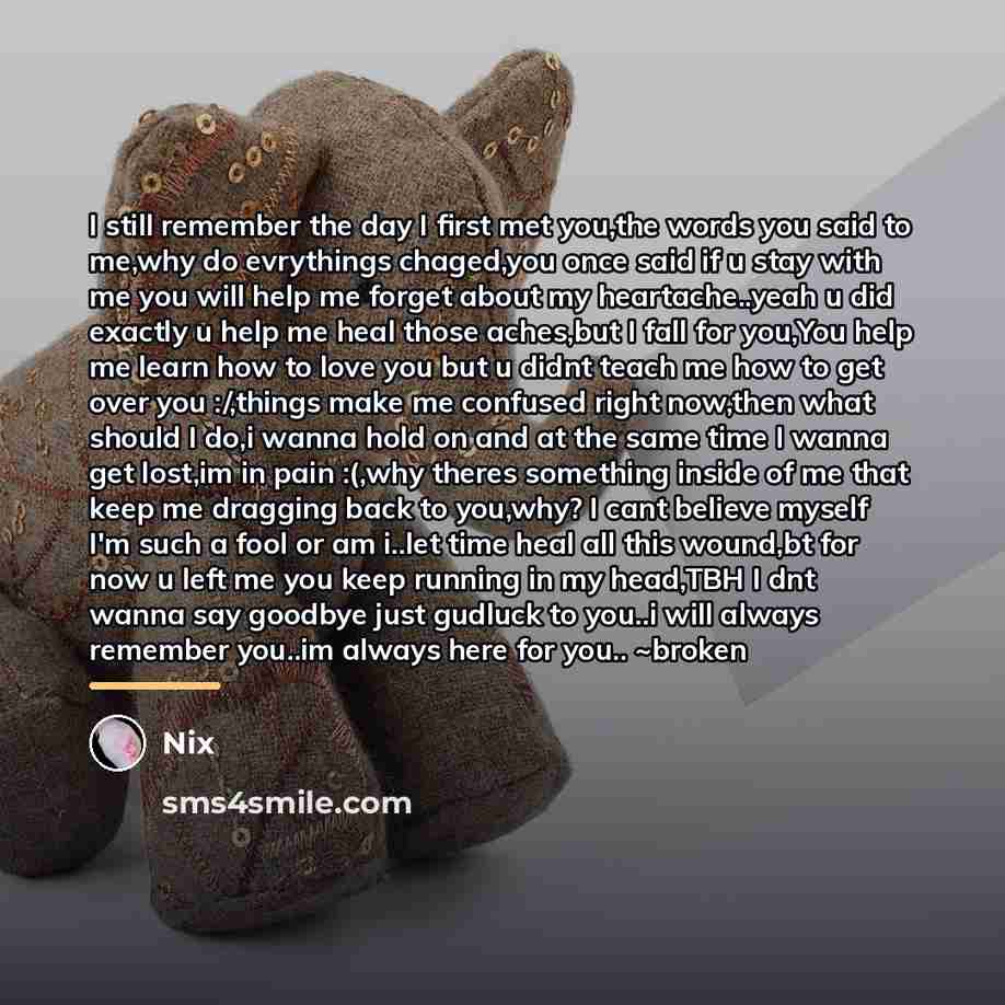 “I still remember the day I first met you,the words…” quote by Nix
