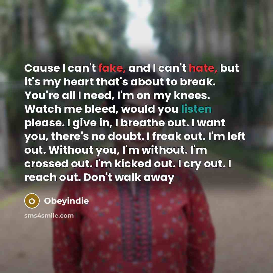 “Cause I can't fake, and I can't hate, but it's my heart that's about to break. You're all I need, I'm on my knees. Watch me bleed, would you listen please. I give in, I breathe out. I want you, there's no doubt. I freak out. I'm left out. Without you, I'm without. I'm crossed out. I'm kicked out…” quote by Obeyindie