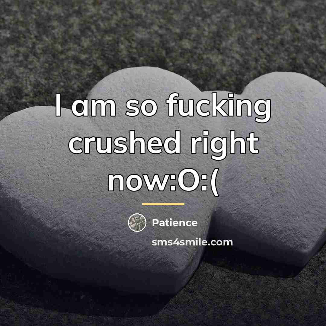 “I am so fucking crushed right now:O:(…” quote by Patience