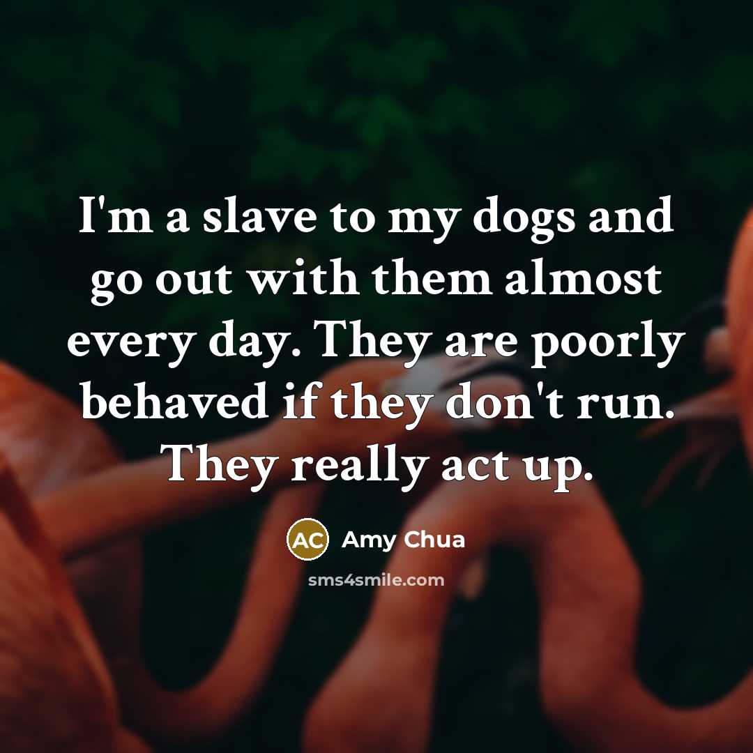 “I'm a slave to my dogs and go out with them almost every day. They are poorly behaved if they don't run. They really act up.” quote by Amy Chua