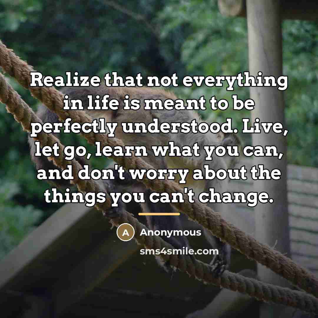 “Realize that not everything in life is meant to be…” quote by Anonymous