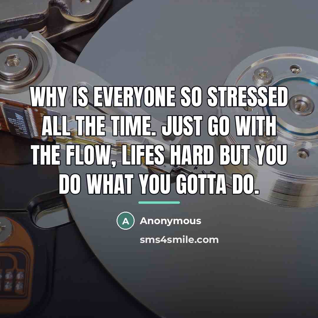 “Why is everyone so stressed all the time. Just go…” quote by Anonymous