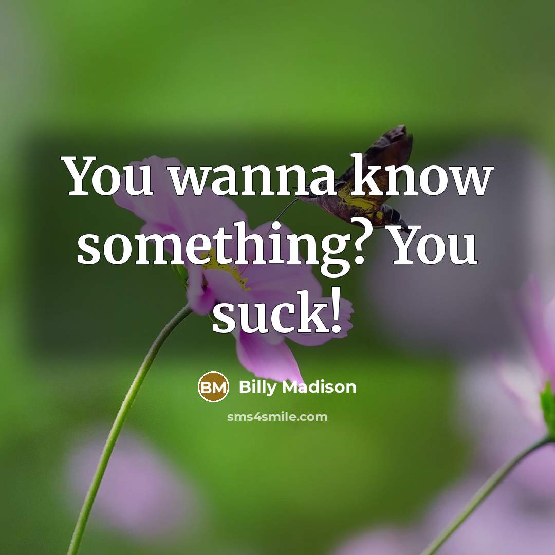 “You wanna know something? You suck!…” quote by Billy Madison