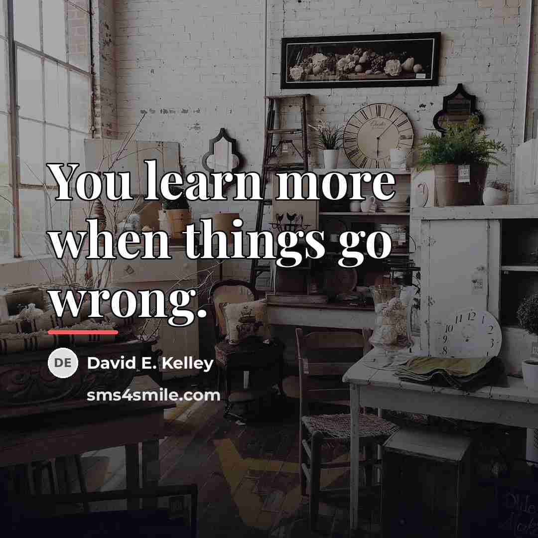 “You learn more when things go wrong.…” quote by David E. Kelley