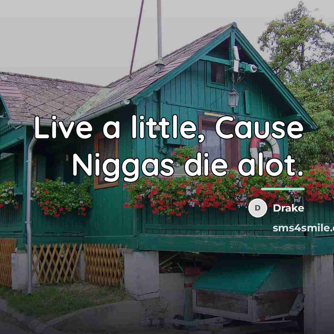 “Live a little, Cause Niggas die alot.…” quote by Drake