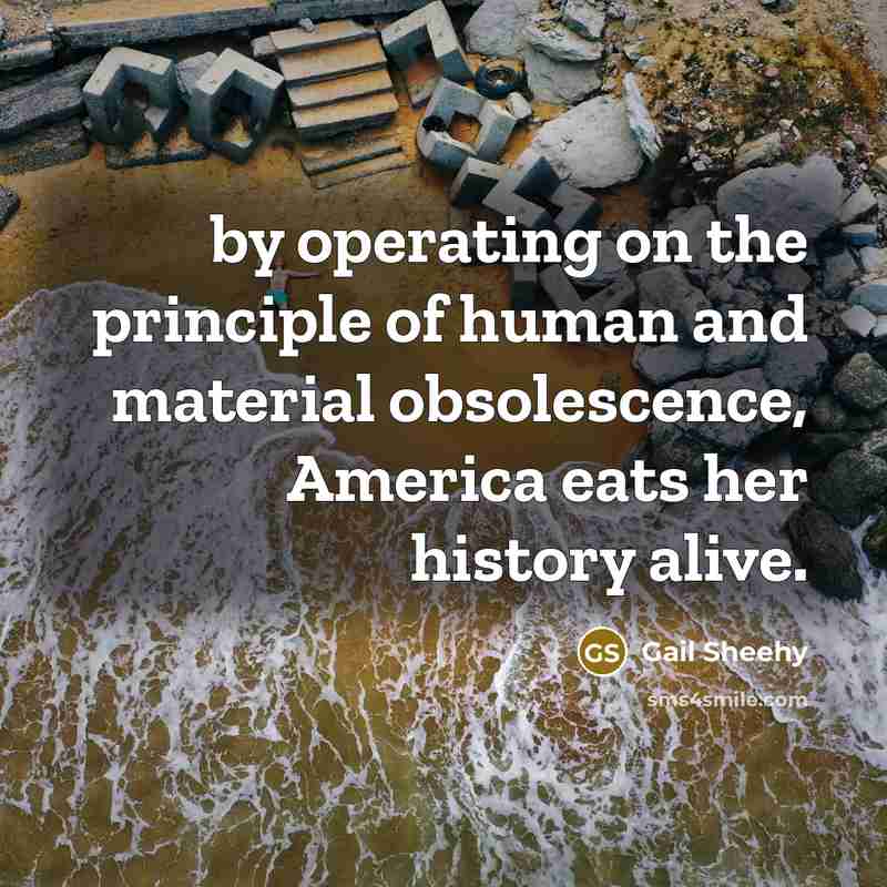“by operating on the principle of human and material obsolescence,…” quote by Gail Sheehy