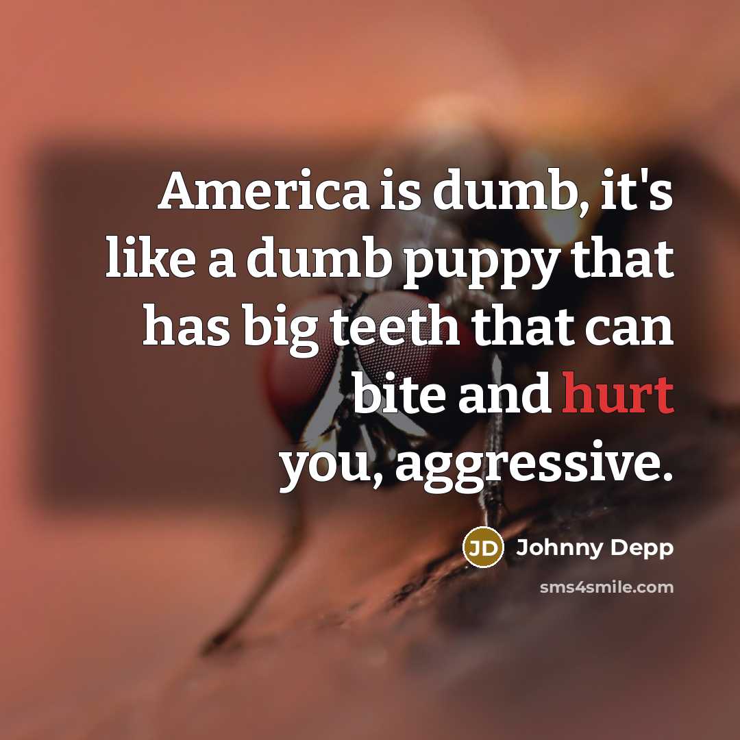 “America is dumb, it's like a dumb puppy that has…” quote by Johnny Depp
