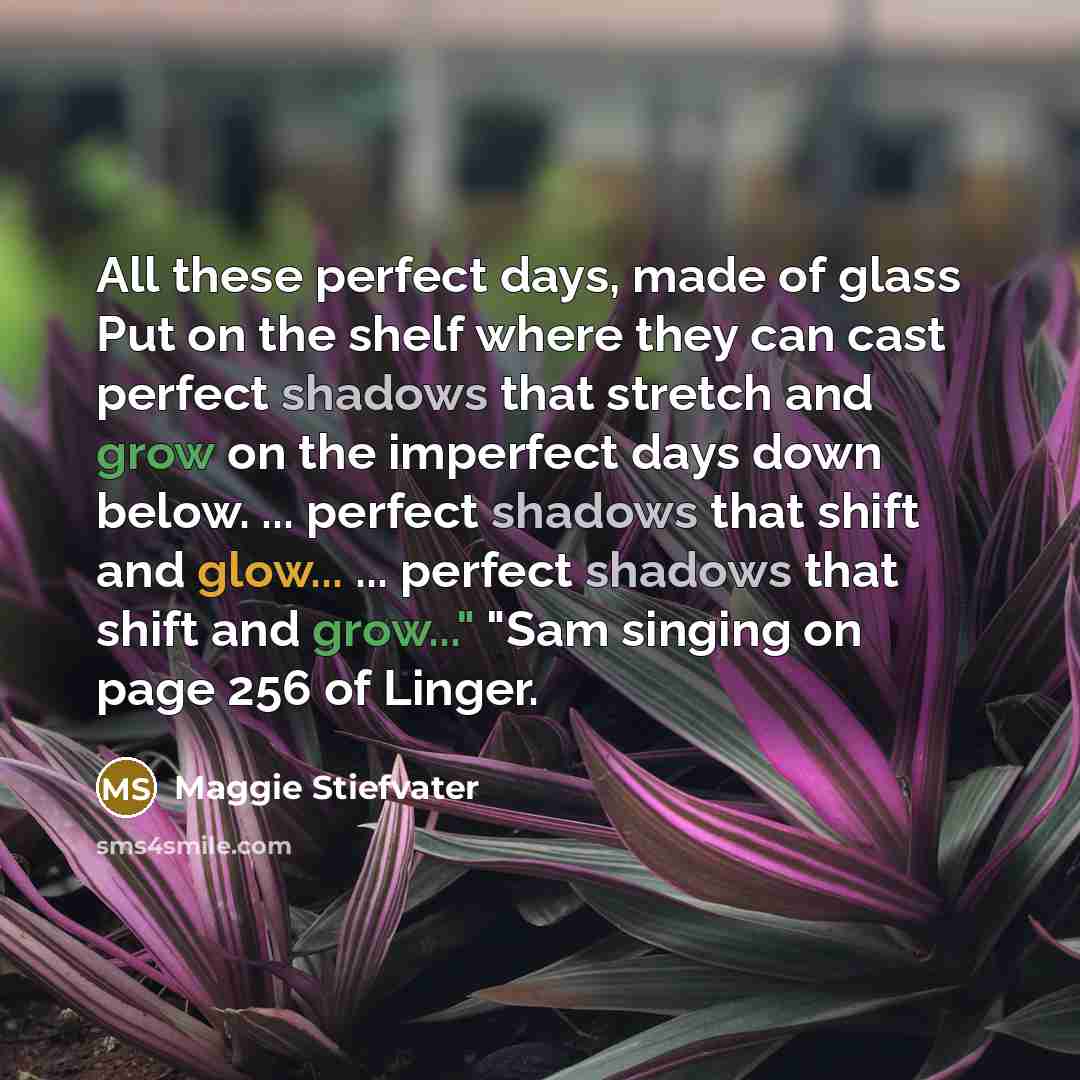 “All these perfect days, made of glass Put on the…” quote by Maggie Stiefvater