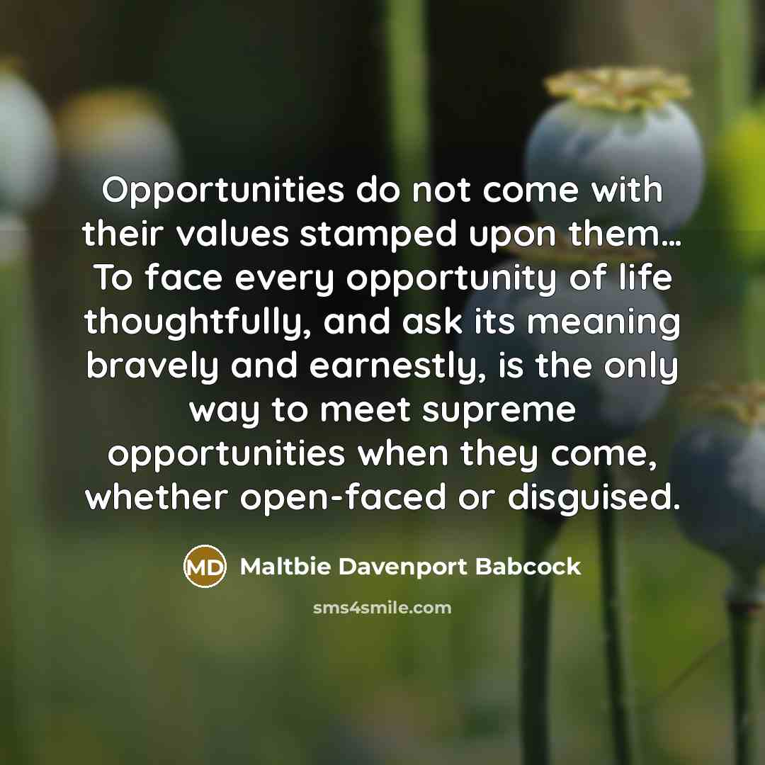 “Opportunities do not come with their values stamped upon them....…” quote by Maltbie Davenport Babcock