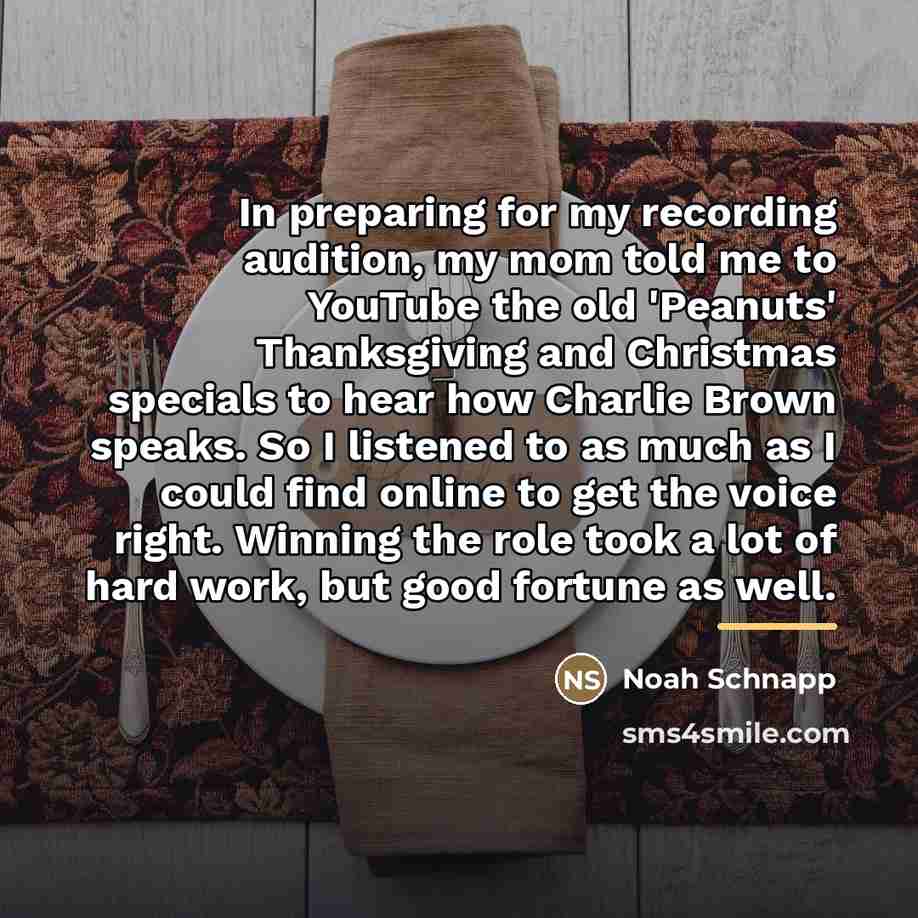 “In preparing for my recording audition, my mom told me…” quote by Noah Schnapp