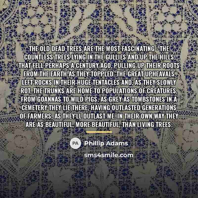 “The old dead trees are the most fascinating - the…” quote by Phillip Adams