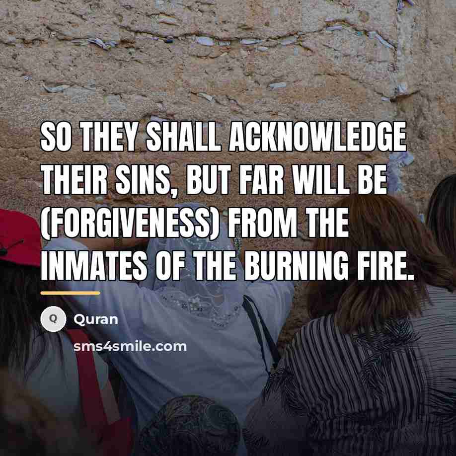 “So they shall acknowledge their sins, but far will be…” quote by Quran