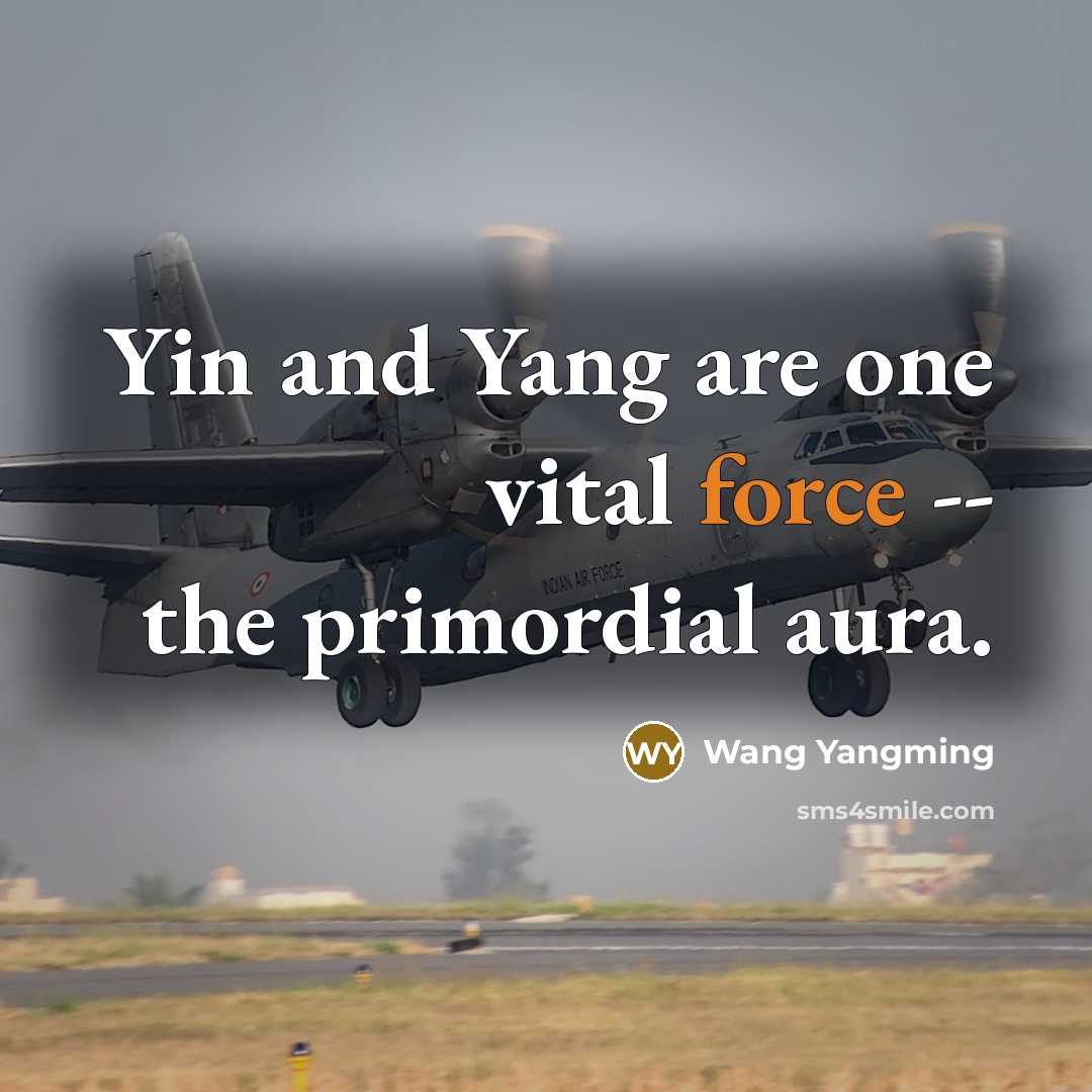 “Yin and Yang are one vital force -- the primordial aura.” quote by Wang Yangming