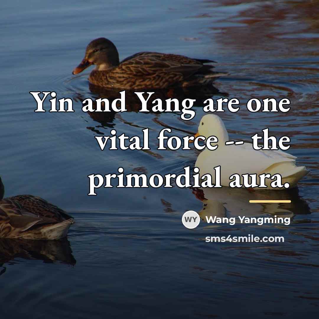 “Yin and Yang are one vital force -- the primordial…” quote by Wang Yangming