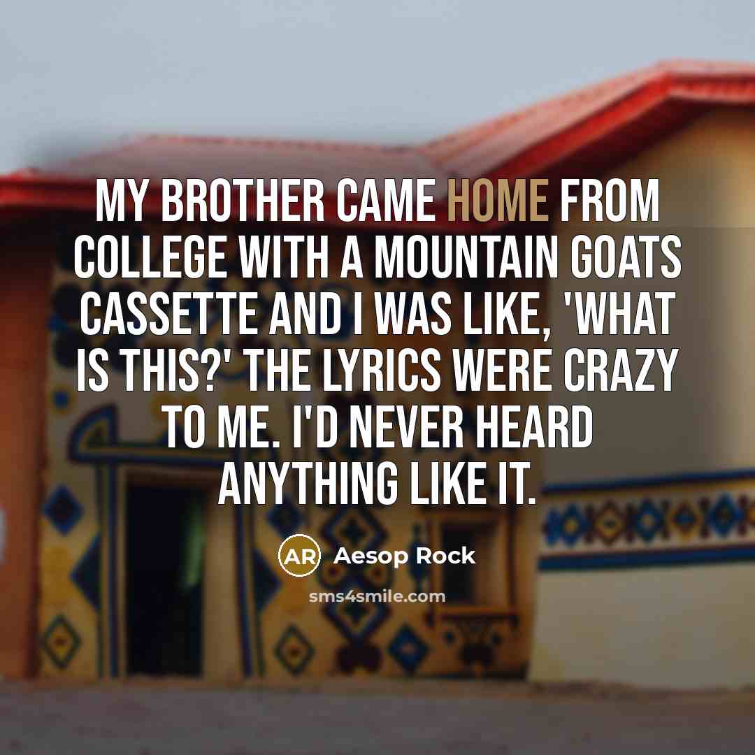 “My brother came home from college with a Mountain Goats…” quote by Aesop Rock