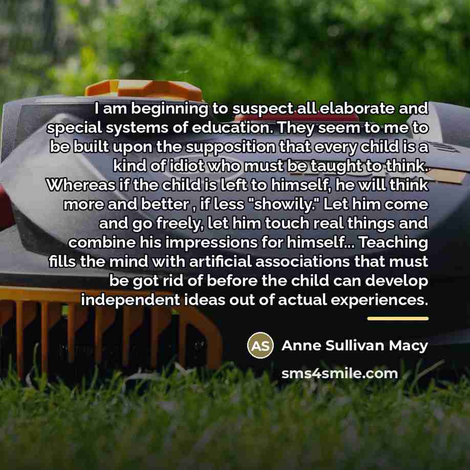 “I am beginning to suspect all elaborate and special systems…” quote by Anne Sullivan Macy