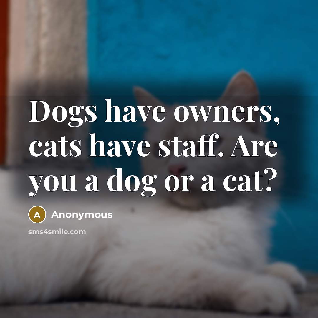 “Dogs have owners, cats have staff. Are you a dog or a cat?” quote by Anonymous