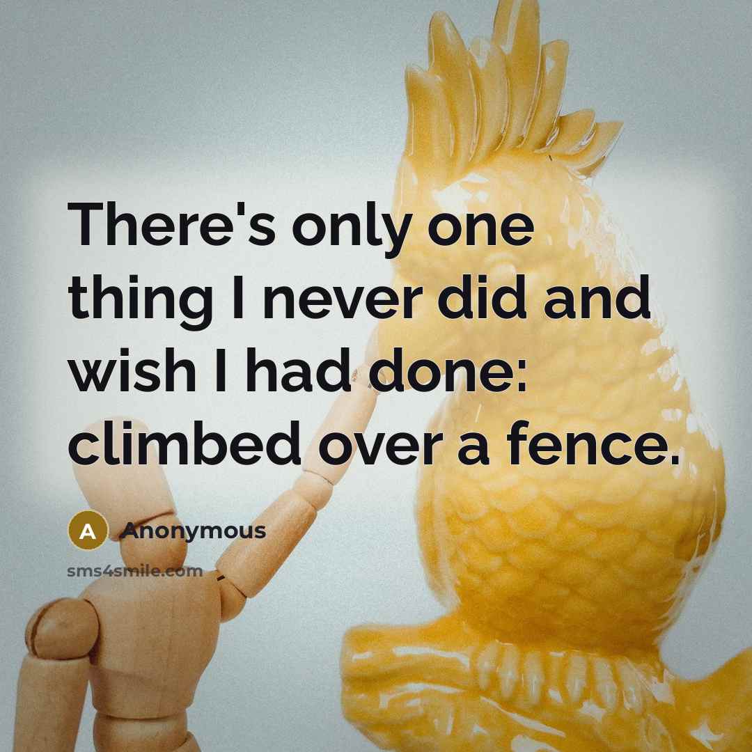 “There's only one thing I never did and wish I had done: climbed over a fence.” quote by Anonymous