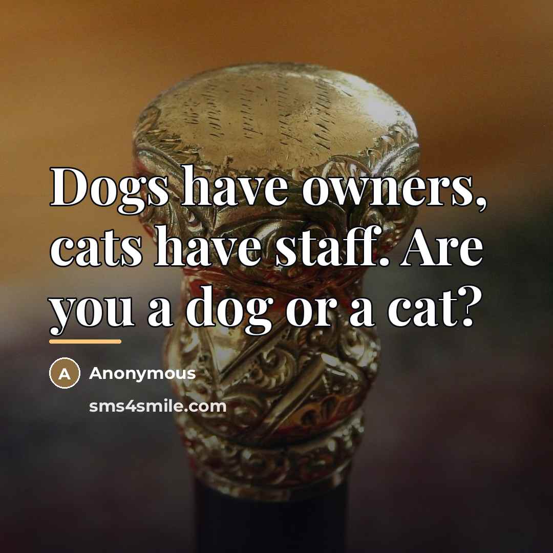 “Dogs have owners, cats have staff. Are you a dog…” quote by Anonymous