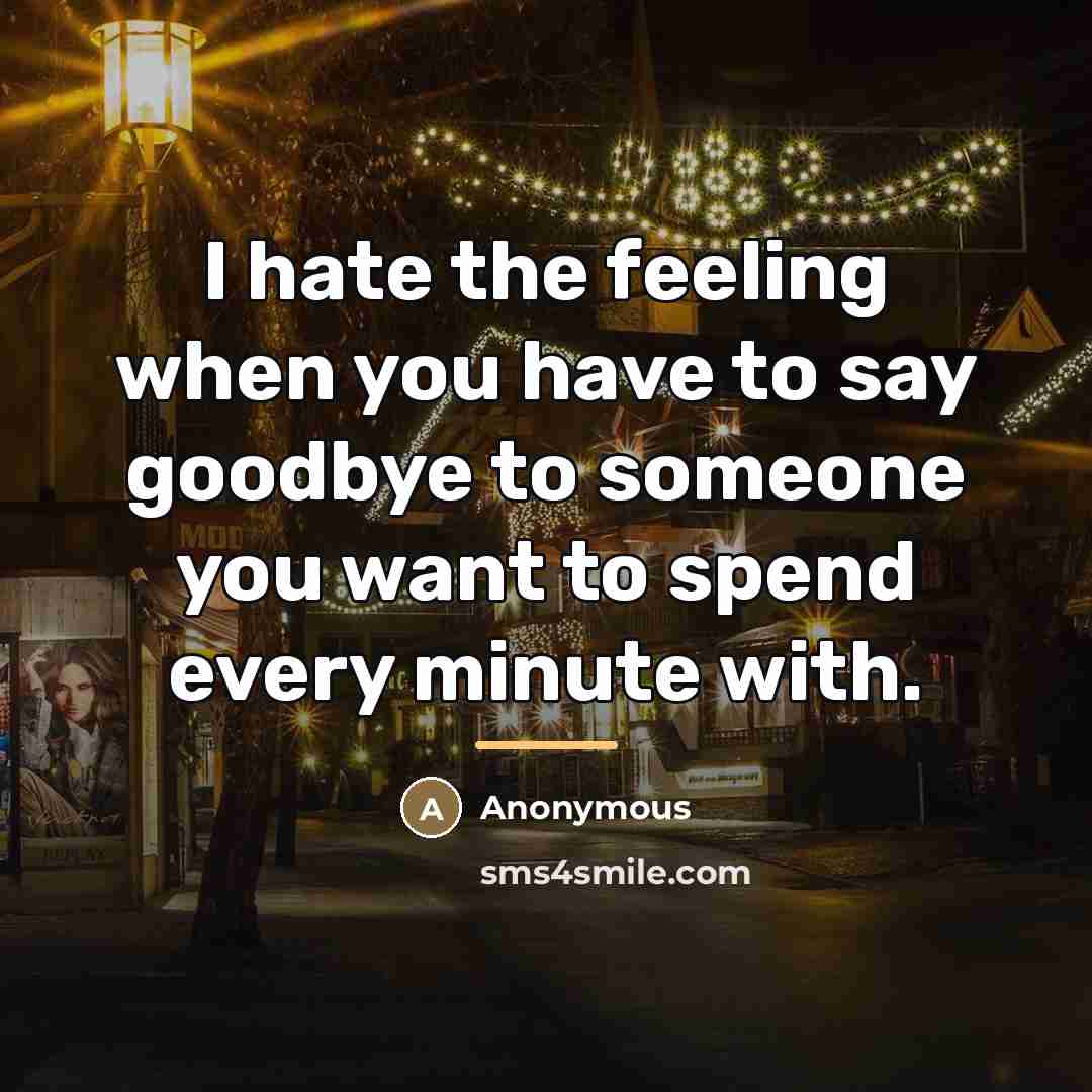 “I hate the feeling when you have to say goodbye…” quote by Anonymous