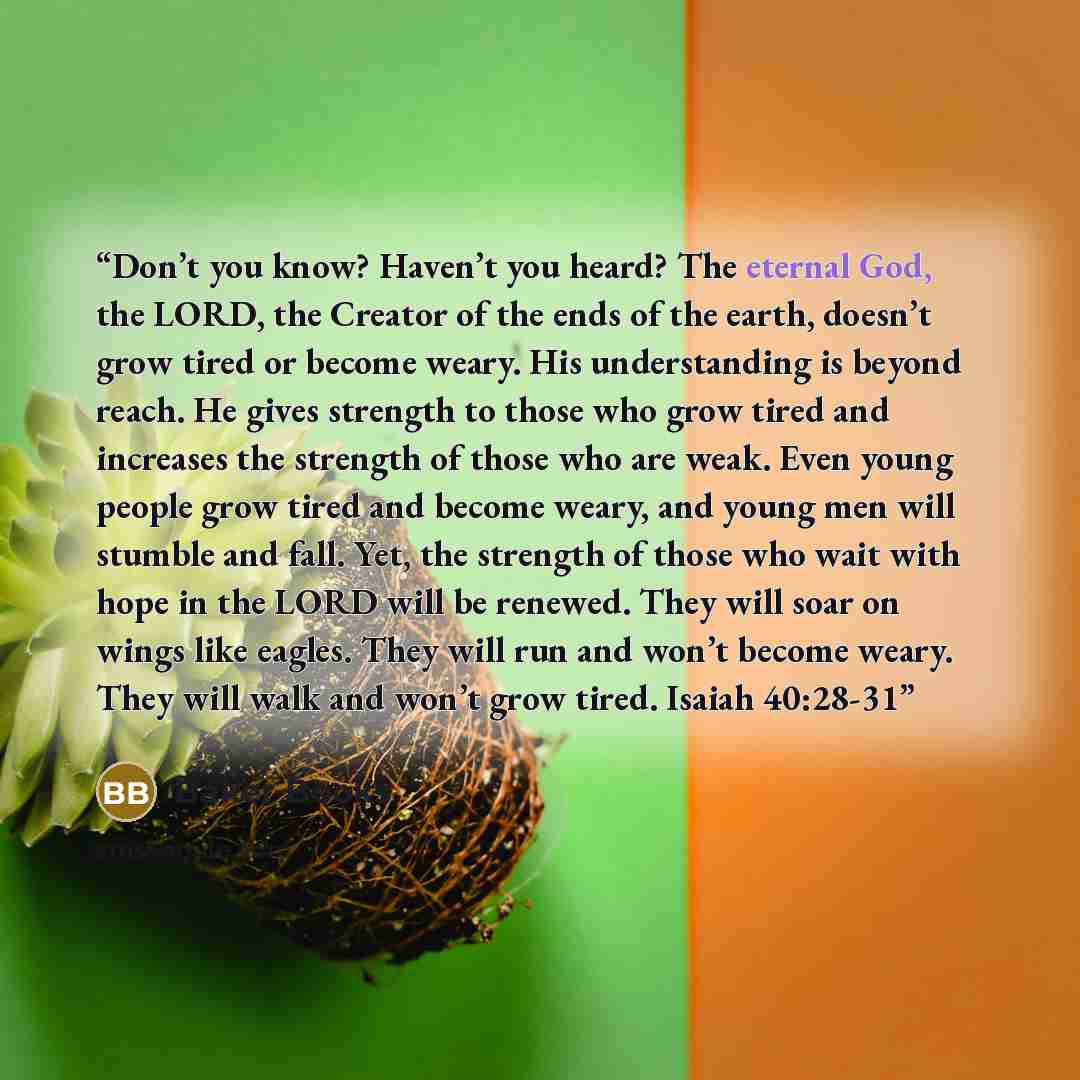 “Don’t you know? Haven’t you heard? The eternal God, the LORD, the Creator of the ends of the earth, doesn’t grow tired or become weary. His understanding is beyond reach. He gives strength to those who grow tired and increases the strength of those who are weak. Even young people grow tired and…” quote by Baker Books