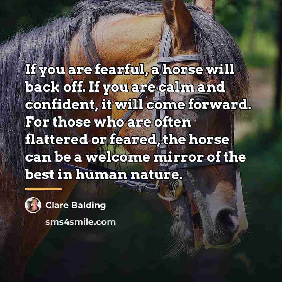 “If you are fearful, a horse will back off. If…” quote by Clare Balding