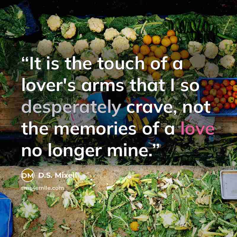 “It is the touch of a lover's arms that I so desperately crave, not the memories of a love no longer mine.” quote by D.S. Mixell