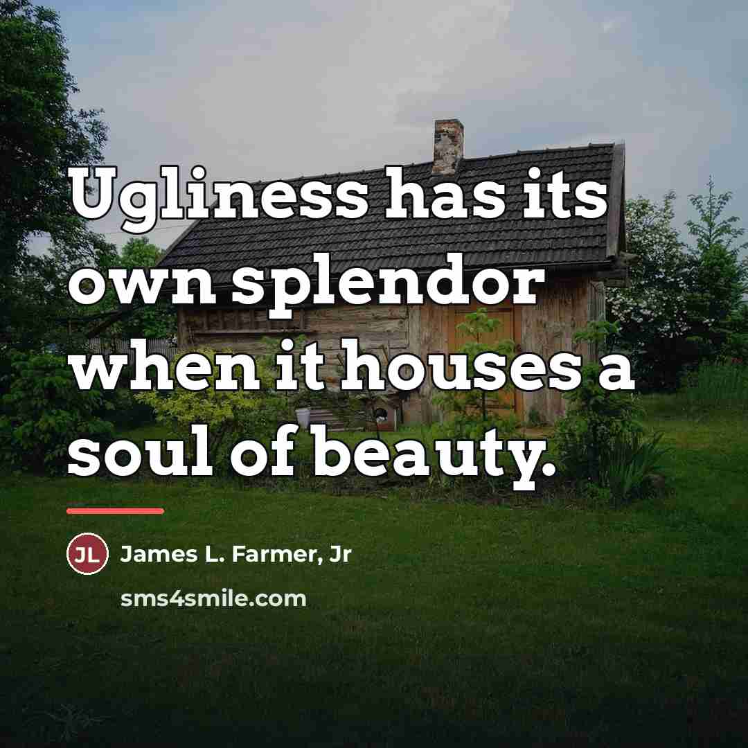 “Ugliness has its own splendor when it houses a soul…” quote by James L. Farmer, Jr