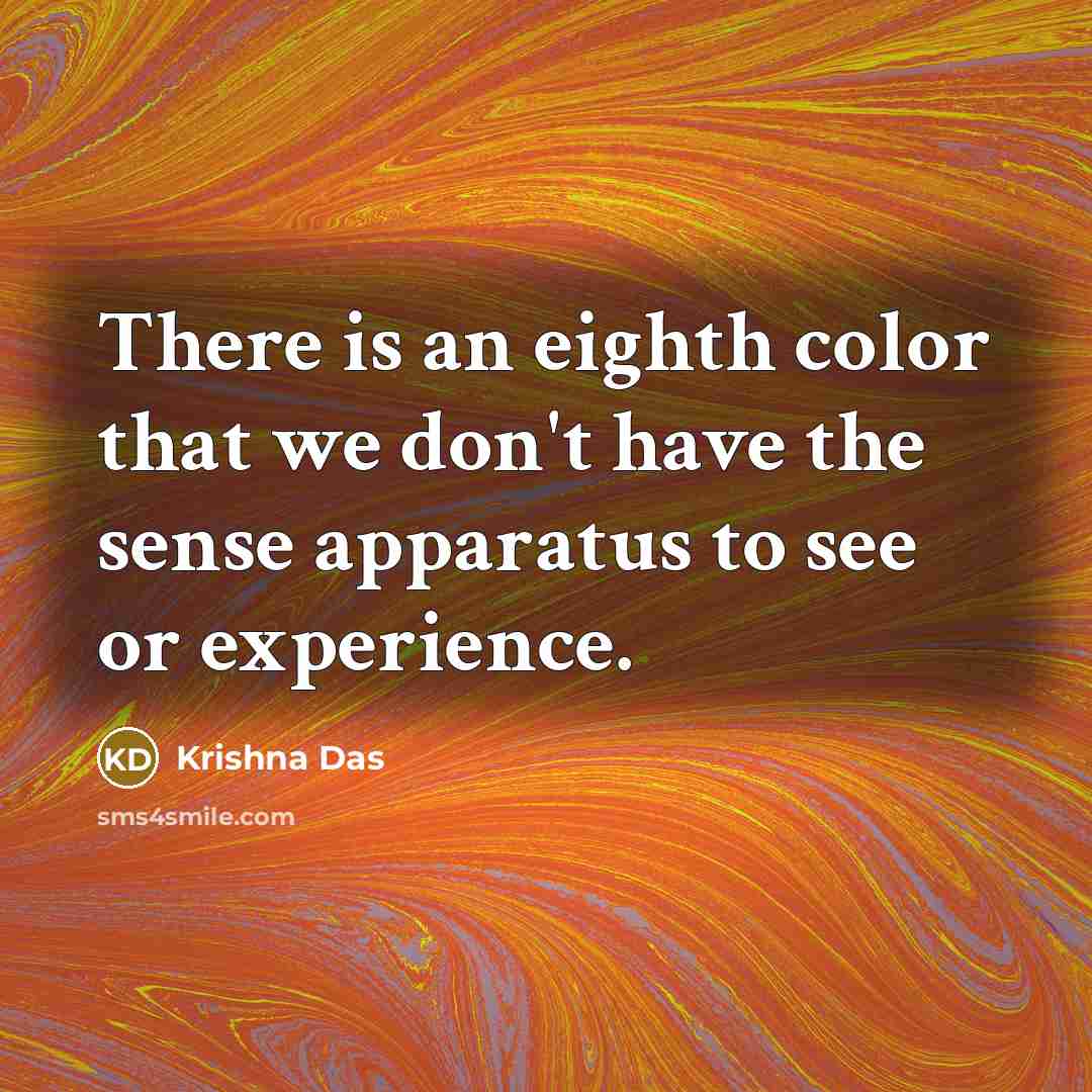 “There is an eighth color that we don't have the…” quote by Krishna Das