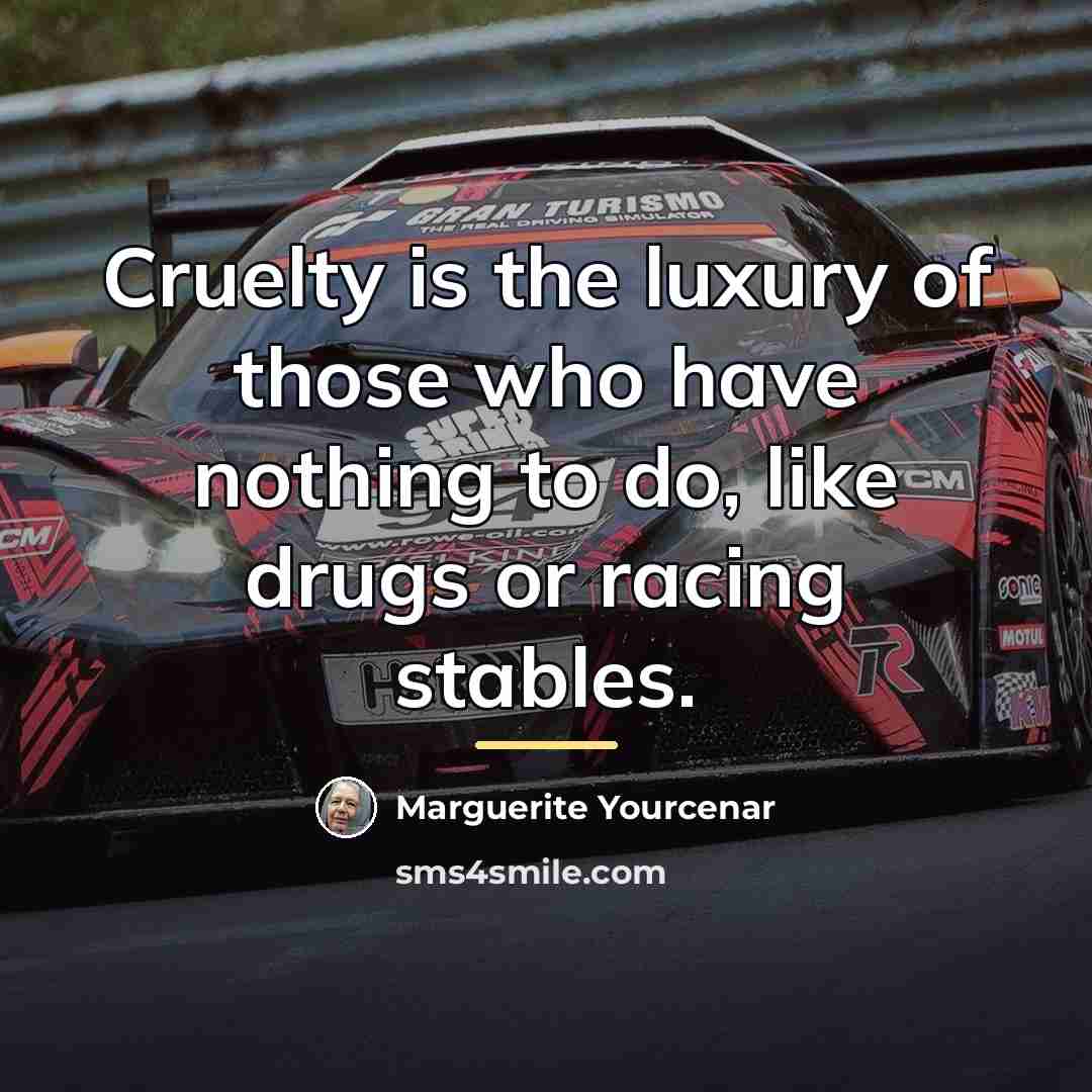 “Cruelty is the luxury of those who have nothing to…” quote by Marguerite Yourcenar