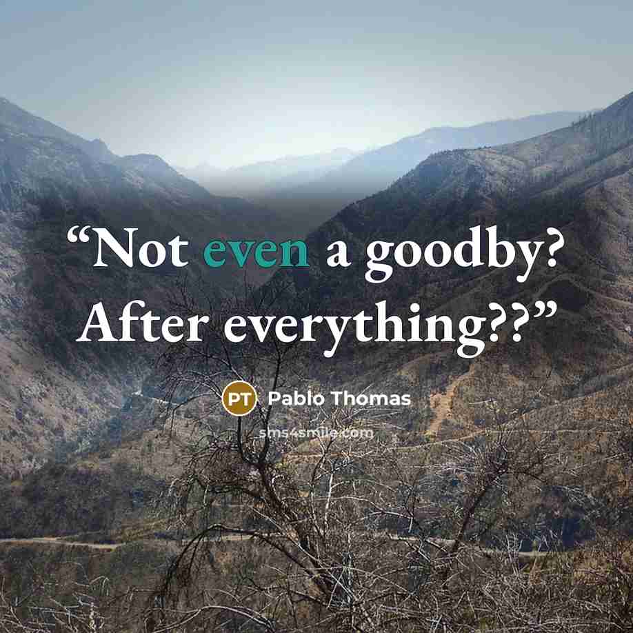 “Not even a goodby? After everything??” quote by Pablo Thomas
